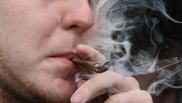 marijuana3WEB___Gallery